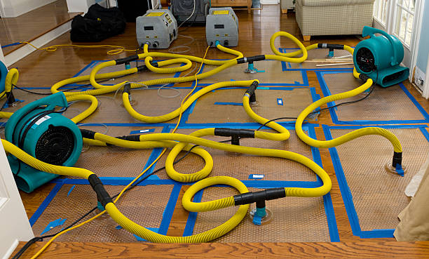 Professional Emergency Water Removal technician working in Rutland, MA
